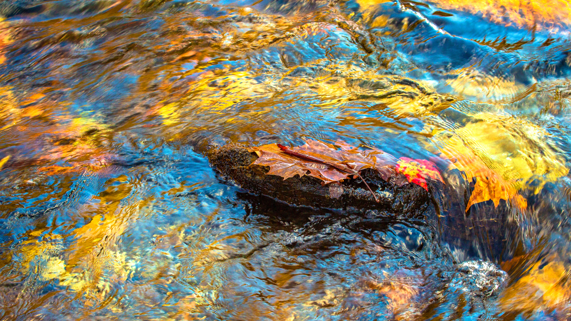 Autumn Quietude Dennis Sabo ©